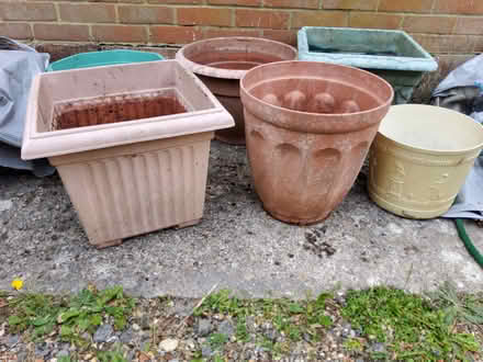 Photo of free Large Plant pots (assorted ) (Bexhill on Sea) #2