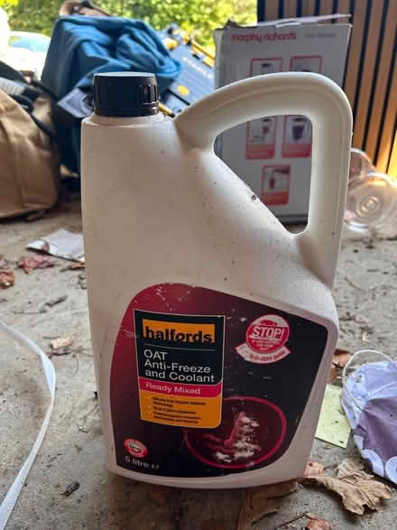 Photo of free Moth carpet spray (Ivy Hatch TN15) #2