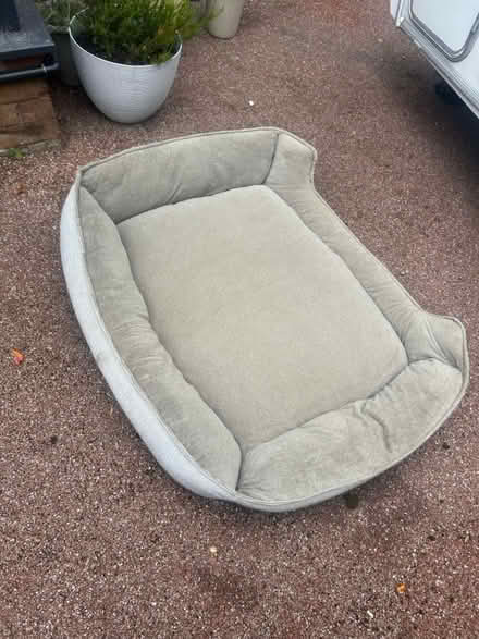 Photo of free Large dog bed (lodgemoor S10 S10) #1