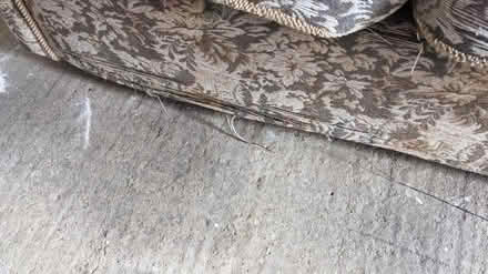 Photo of free Vintage 2-seater sofa (Abingdon - Caldecott. OX14) #2