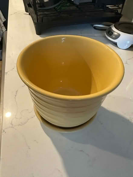 Photo of free Yellow flowerpot (20001) #2