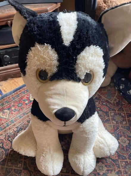 Photo of free Big dog plushie (Leicester LE2) #1