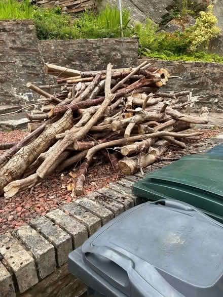 Photo of free Firewood (Kilcreggan G84) #1