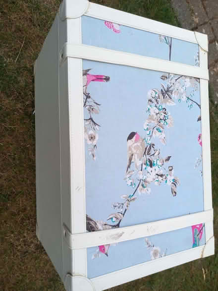 Photo of free Large trunk with birds and flowers pattern (Colchester CO1) #2