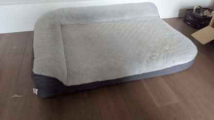 Photo of free Dog Beds (Hove Station area BN3) #3