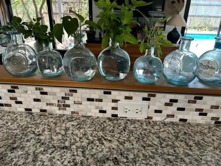 Photo of free Glass jars & bottles (East side: Speedway & Harrison) #2