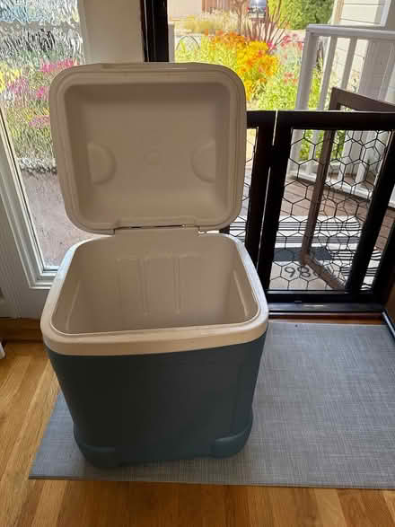 Photo of free Igloo cooler (Cambrian/san jose) #2