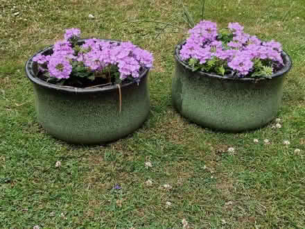 Photo of free 2 glazed terracotta pots complete with flowers! (Enborne Row RG14) #1