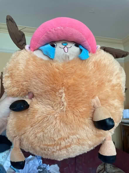 Photo of free Hand warmer cuddly toy (Leicester LE2) #1