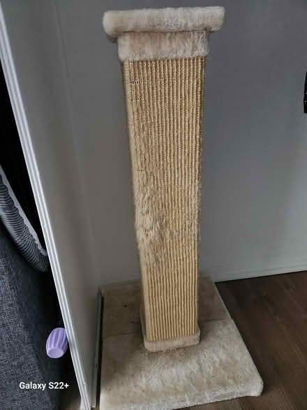 Photo of free 3 ft Cat Scratch Post (Fort Lee NJ) #2