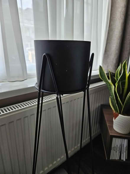 Photo of free Plant stand (Leyton E10) #1