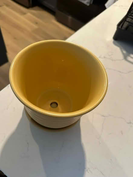 Photo of free Yellow flowerpot (20001) #1