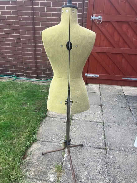 Photo of free Tailor’s Dummy (Aston CH5) #4