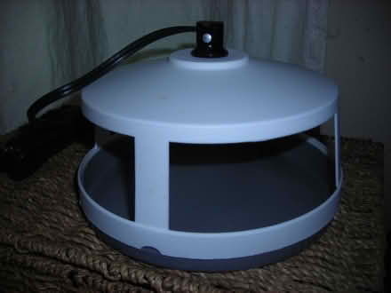 Photo of free Flea traps (Swarthmore area) #3