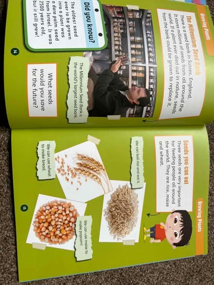 Photo of free Science bug pupil book 2 (CH61) #4
