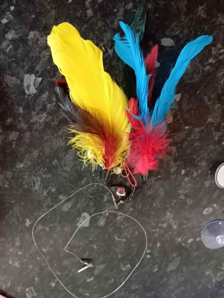 Photo of free Various cat toys (Woolwich SE18) #1