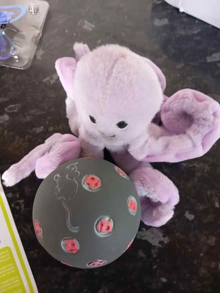 Photo of free Various cat toys (Woolwich SE18) #2
