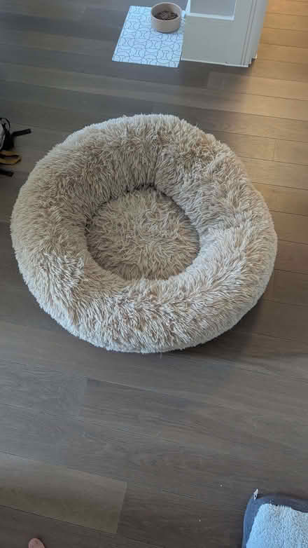 Photo of free Dog Beds (Hove Station area BN3) #1