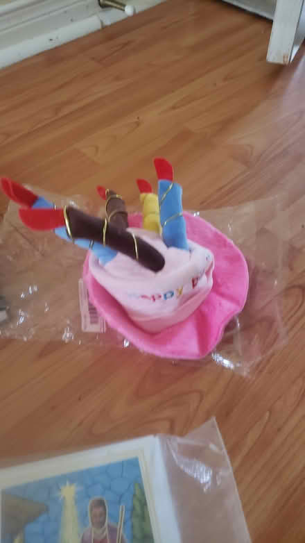 Photo of free Doggy birthday hat (10/eg) #1