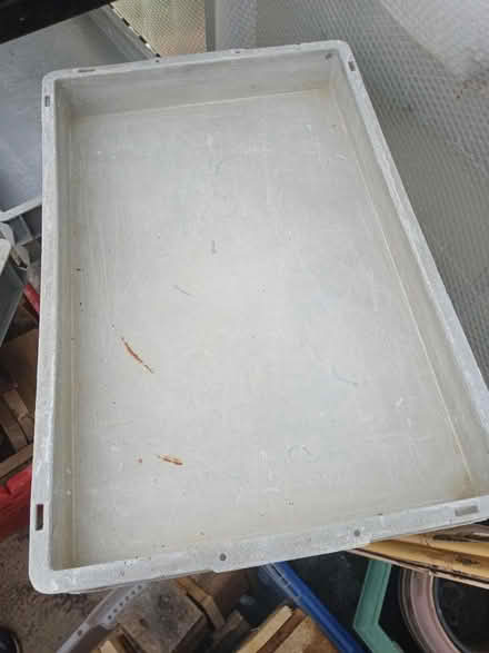Photo of free Greenhouse clearance (Ruislip HA4) #2
