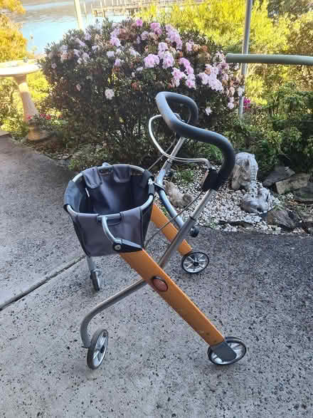 Photo of free Walking Aids (Point Clare) #3