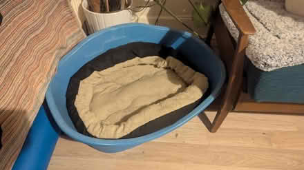 Photo of free Dog Bed (Glasgow Southside G43) #1