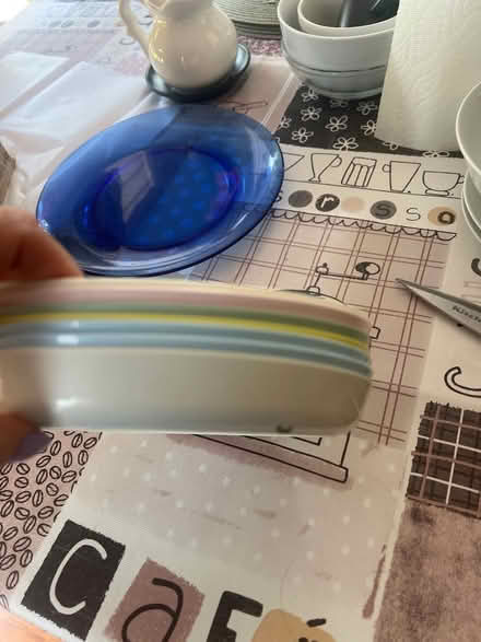 Photo of free Plastic plates (North Brampton) #2
