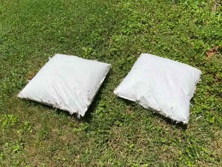 Photo of free Two bags of down feathers (Gordonsville) #1