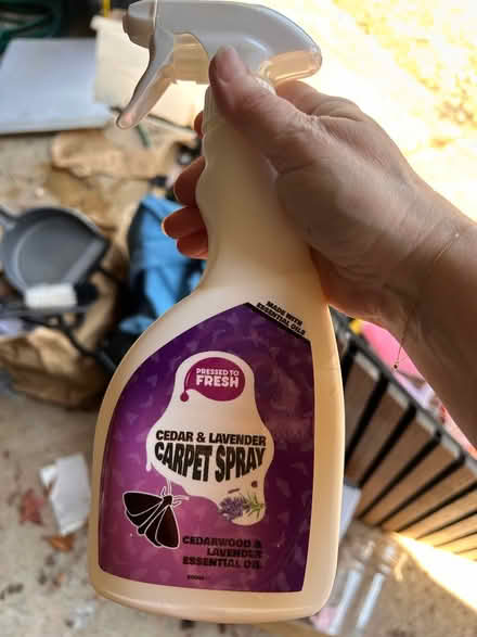 Photo of free Moth carpet spray (Ivy Hatch TN15) #1