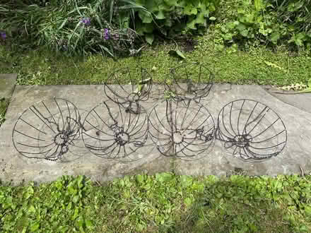 Photo of free Six hanging plant baskets (Rock Tavern) #1