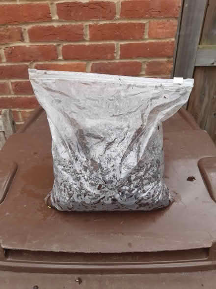 Photo of free Orchid compost (Abingdon OX14) #2