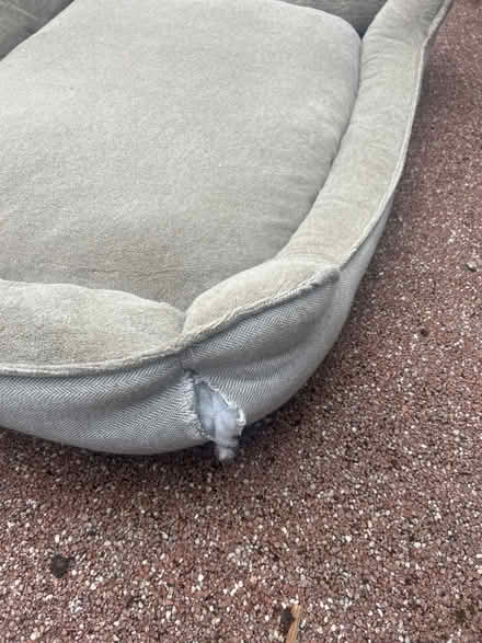 Photo of free Large dog bed (lodgemoor S10 S10) #2