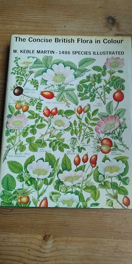 Photo of free wildflower book (New Street, Ludlow) #1