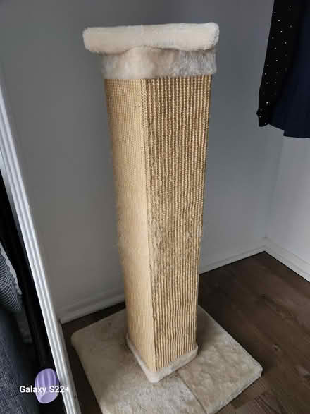 Photo of free 3 ft Cat Scratch Post (Fort Lee NJ) #1