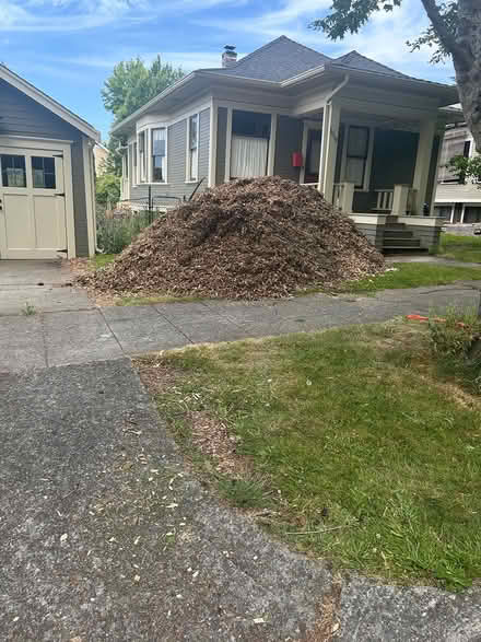 Photo of free cedar chips, you haul (Ballard) #1