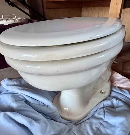 Photo of free 1930 vintage Crane toilet (Chevy Chase DC) #3