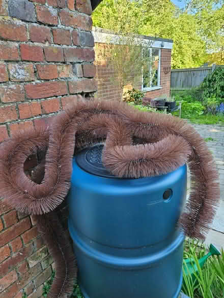 Photo of free Hedgehog gutter brush (Burston IP22) #1