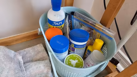 Photo of free 20 gallon tank, fish and supplies (K2G 2Y9) #2