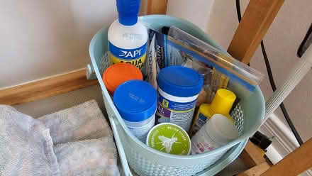 Photo of free 20 gallon tank, fish and supplies (K2G 2Y9) #2