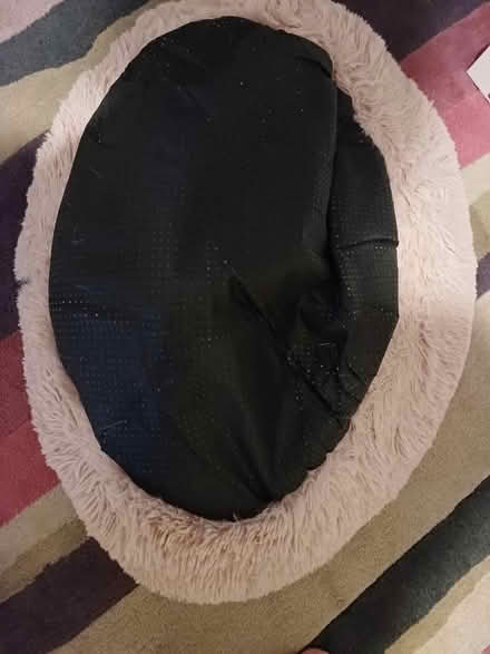Photo of free Pet bed (Malvern Link WR14) #2