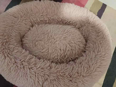 Photo of free Pet bed (Malvern Link WR14) #1