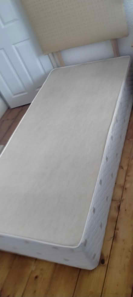 Photo of free Single divan bed (Heavitree/Whipton) #2