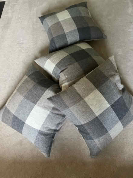 Photo of free 4 cushions good condition (Bosham) #1
