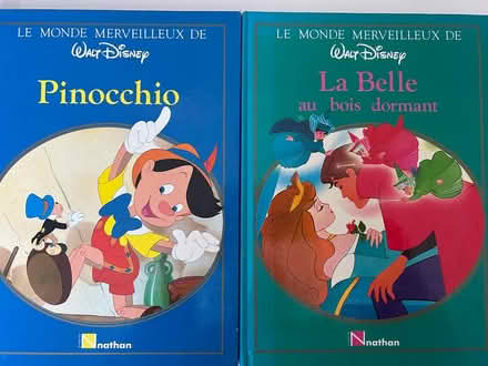 Photo of free Disney books in French (CM1 Broomfield) #1