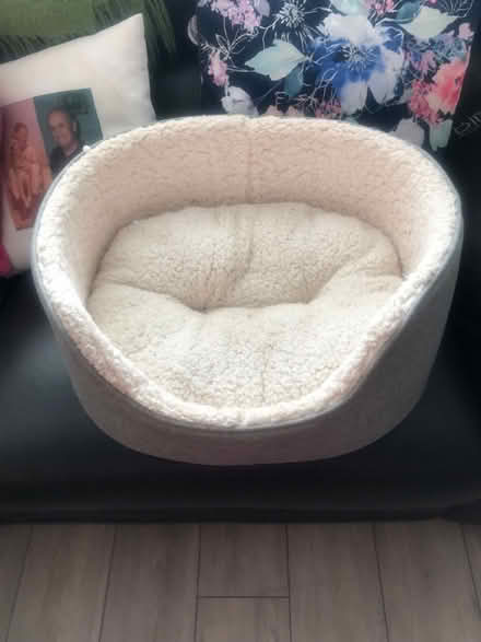 Photo of free Dog bed (Chadderton south OL98LU) #2
