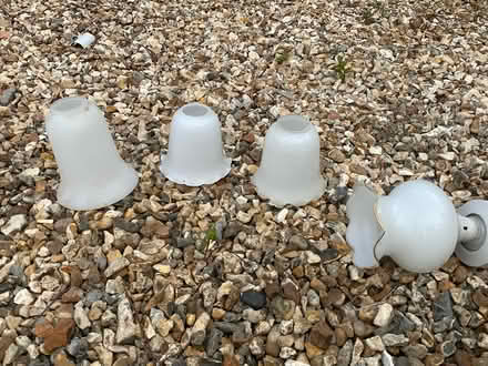 Photo of free Small glass light shades (Warminster BA12) #1