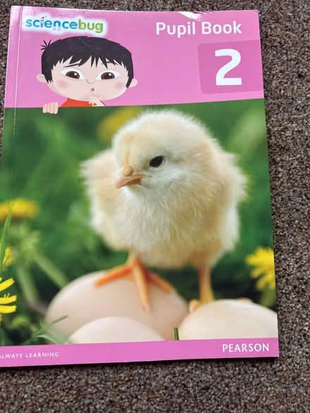 Photo of free Science bug pupil book 2 (CH61) #1
