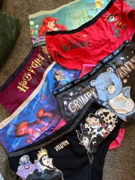 Photo of free Size 14 knickers (Eastbourne BN22) #1