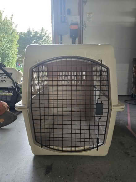 Photo of free Lg dog crate - used to fly (21704) (Near Spring Ridge and 144) #1