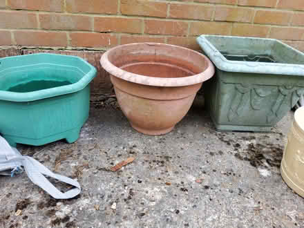 Photo of free Large Plant pots (assorted ) (Bexhill on Sea) #3
